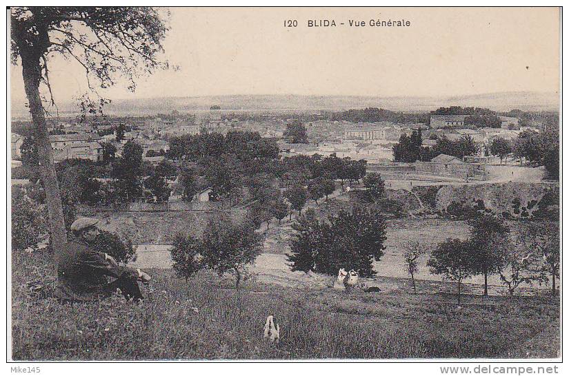 Unknown French Publisher Postcard - 120 - Blida, Vue Générale