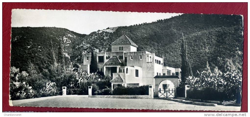 CPSM Panoramique  ALGERIE - BLIDA - Gorges de La Chiffa - 