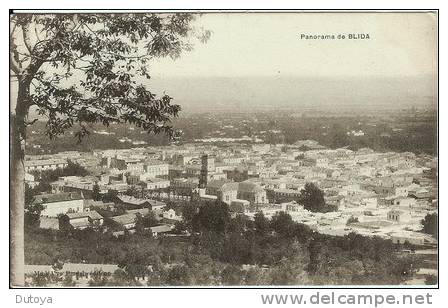 Blida - Panorama