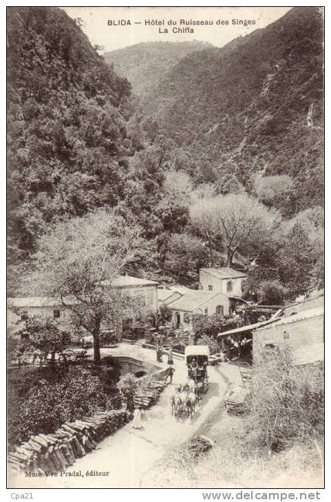 CPA ALGERIE BLIDA la chiffa ruisseau des singes