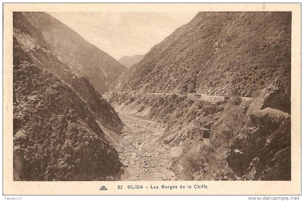 DZ - Blida - Les Gorges de la Chiffa - CAP 52 (non circulée)