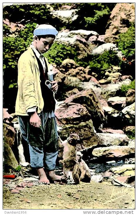 CP          - BLIDA    LE RUISSEAU DES SINGES  PETIT MARCHAND DE CACAHUETES        AH687