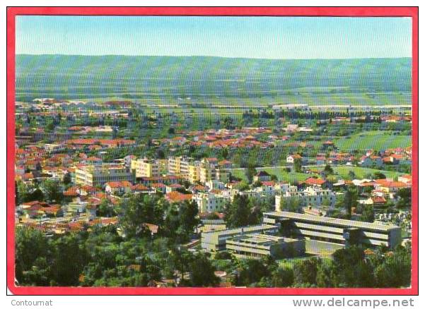 CPM ALGERIE BLIDA vue générale