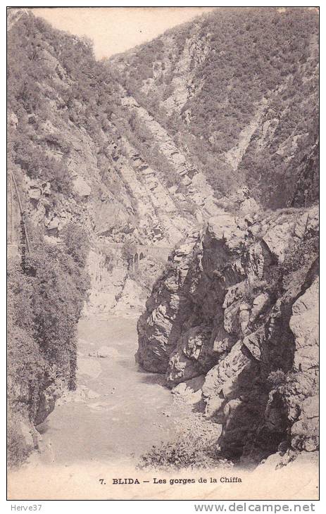 BLIDA les gorges de la Chiffa