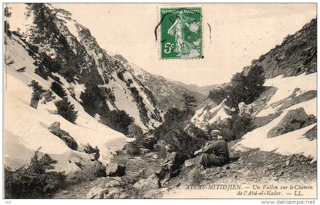 Afrique > Algérie- ATLAS-MITIDJIEN -un Vallon sur le chemin de l´Abd-el-Kader  (Blida-atlas mitidja) *PRIX FIXE