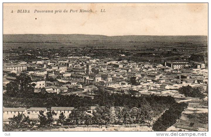 Algérie > BLIDA- Panorama pris du Port Mimich - Editions LL n° 4- *PRIX FIXE
