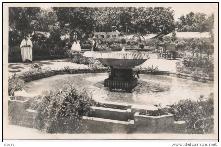 BLIDA  LE JARDIN DU MARECHAL JOFFRE  1950 BE