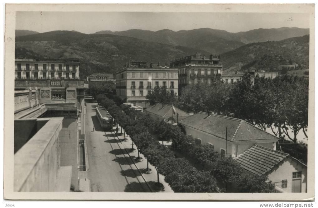 BLIDA - Avenue Armand Le Goff