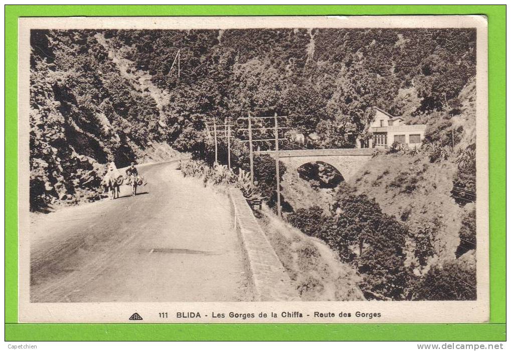 BLIDA - LES GORGES DE LA CHIFFA - LA ROUTE DES GORGES - Carte vierge