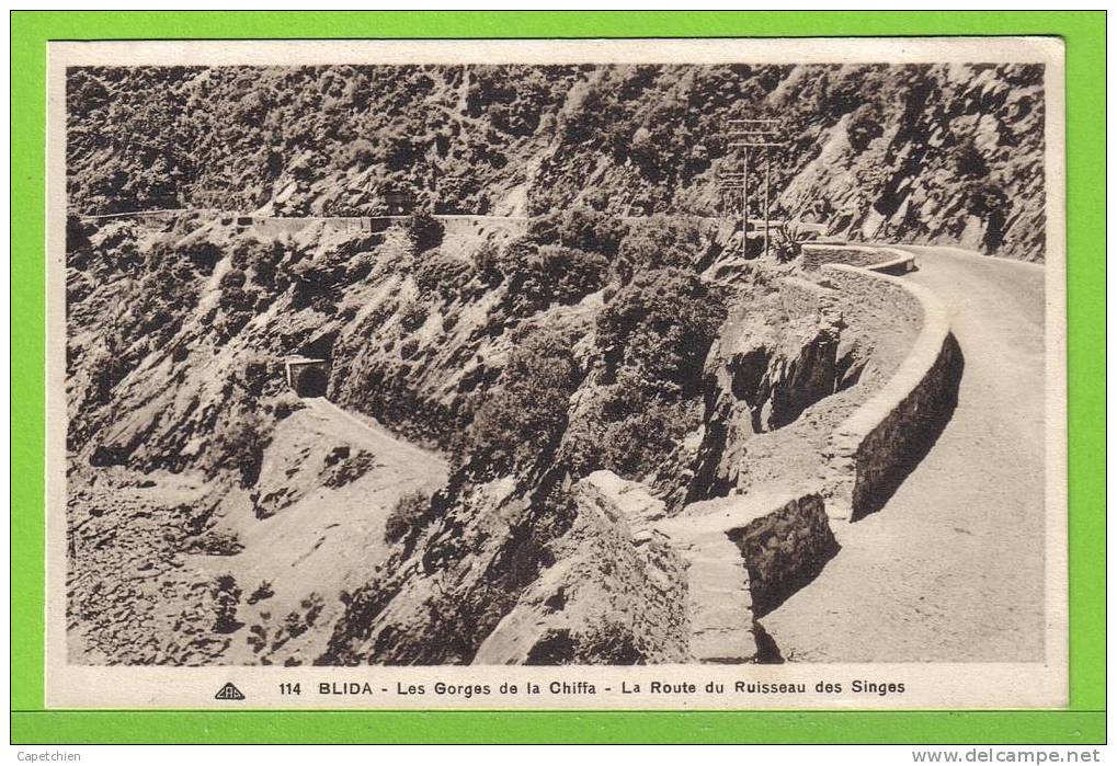 BLIDA - LES GORGES DE LA CHIFFA - LA ROUTE DU RUISSEAU DES SINGES - Carte vierge