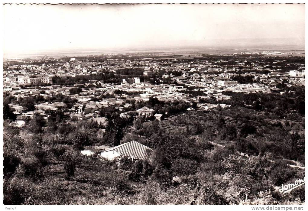CPSM 1959.BLIDA. VUE GENERALE.