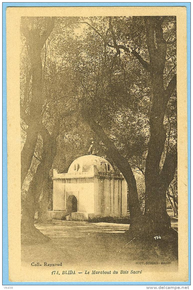 CARTE POSTALE 174 BLIDA LE MARABOUT DU BOIS SACRE . COLLE REYBAUD . PHOT COMBIER MACON