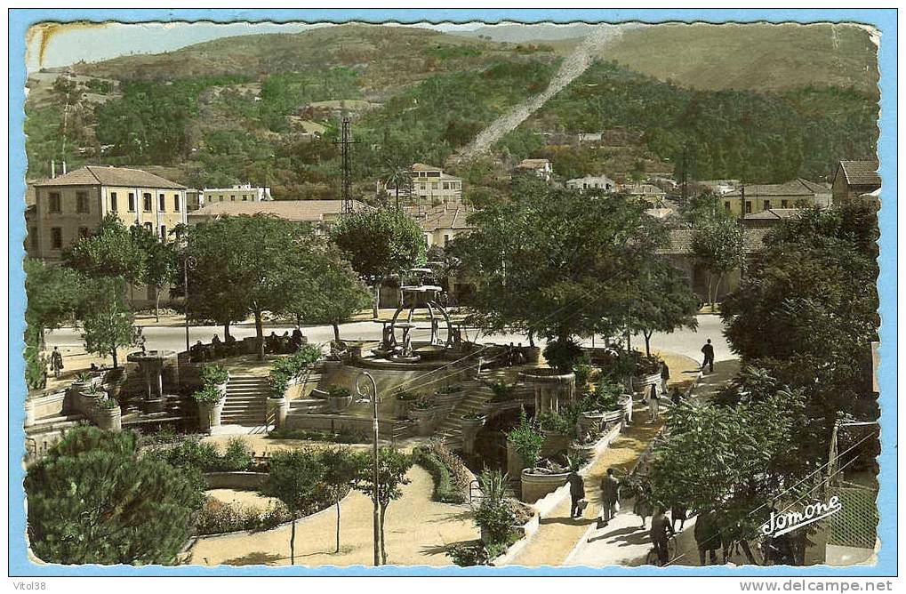 CARTE POSTALE 110 BLIDA JARDIN RICCI . EDITION JOMONE 2 RUE LEVACHER ALGER . ECRITURE 1957