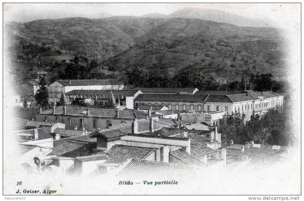 ALGERIE BLIDA VUE PARTIELLE PRECURSEUR