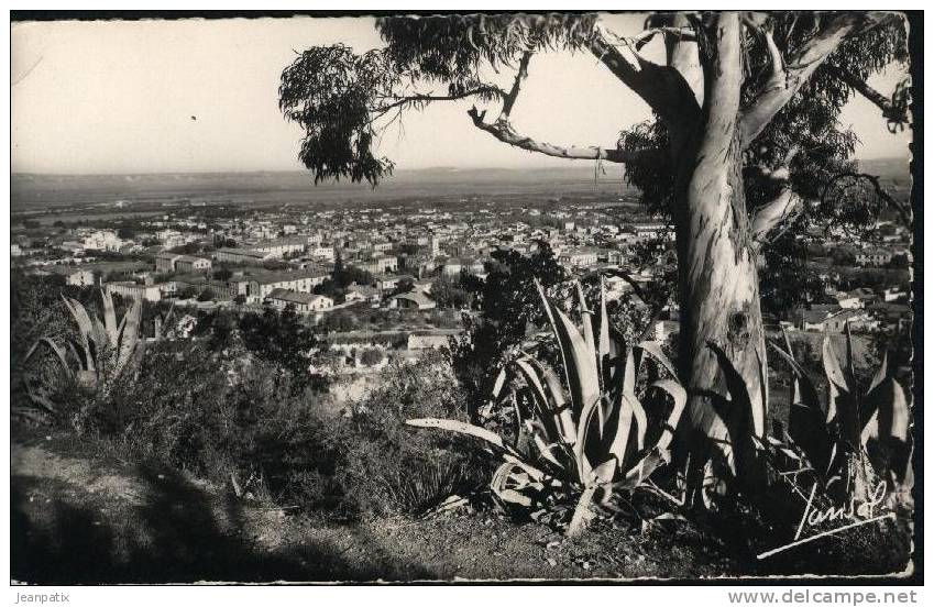 BLIDA - vue générale