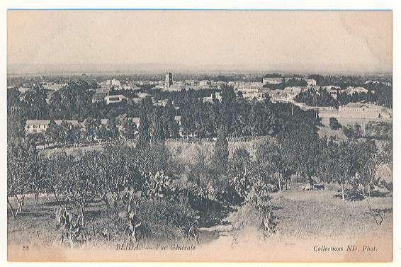 55 - BLIDA  - Vue Générale   Collection ND