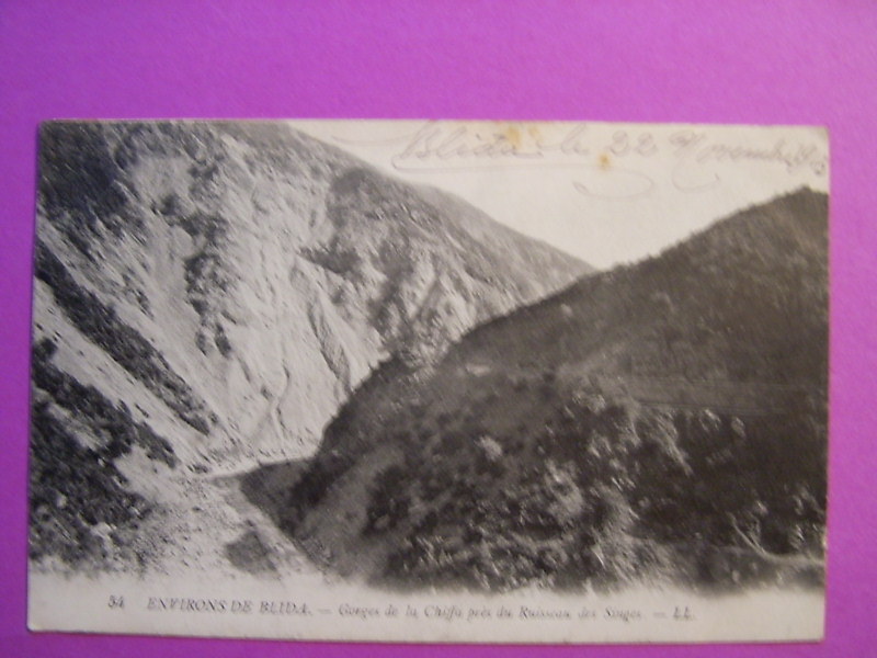 1913 - environs de BLIDA - Gorges de la Chiffa près du Ruisseau des Singes