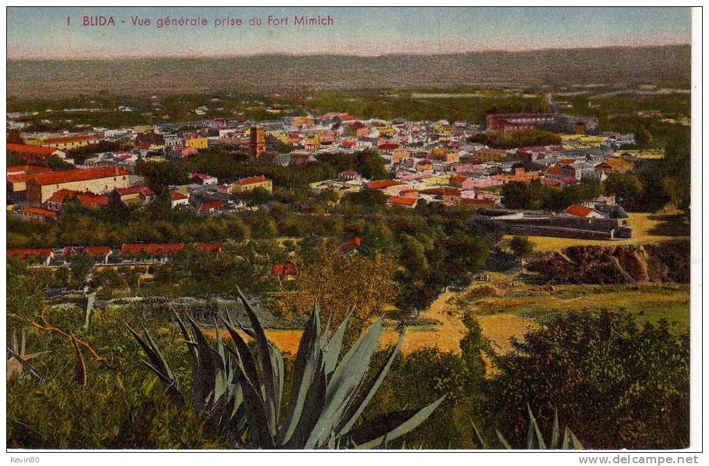 ALGERIE BLIDA Vue Générale prise de Fort Mimich cpa couleur