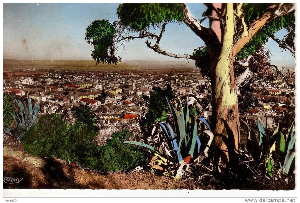 ALGERIE BLIDA Vue Générale et la Plaine de la Mitidja cpa couleur
