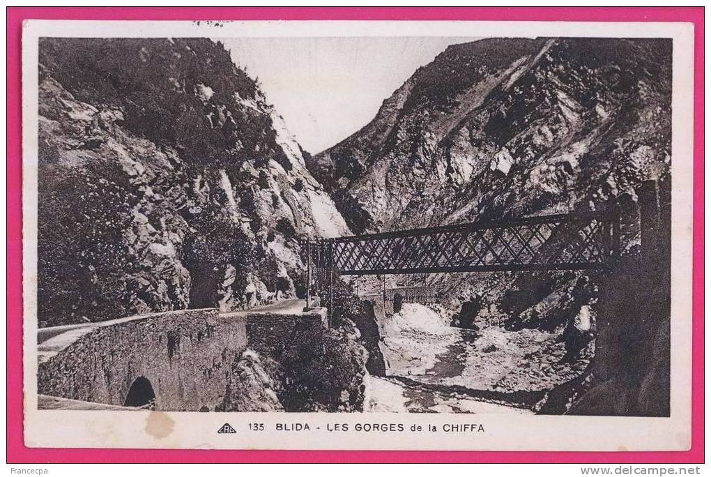 1372 - ALGERIE - BLIDA - Les Gorges de la Chiffa