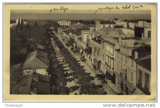 Algérie - Blida - Boulevard Trumelet   -  375   (bas droit plié)