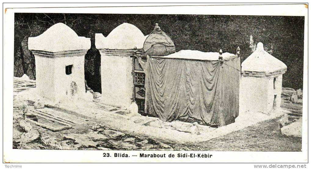 Petite (largeur 6.8cm) CARTE POSTALE Blida Marabout de Sidi El Kébir
