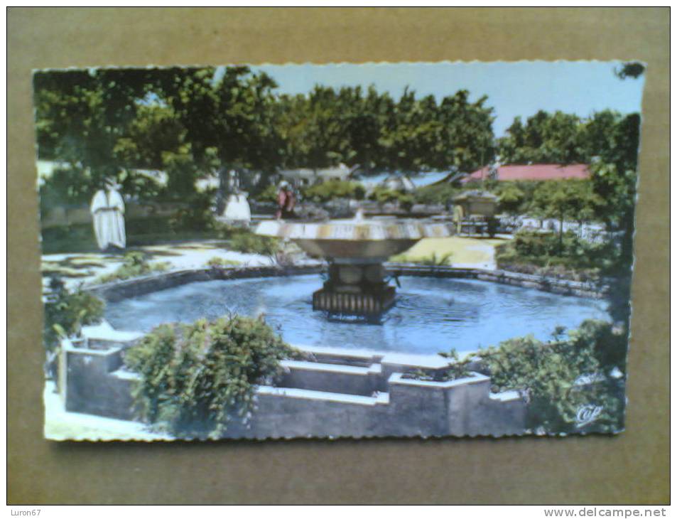 CPSM DE BLIDA le jardin du Maréchal Joffre