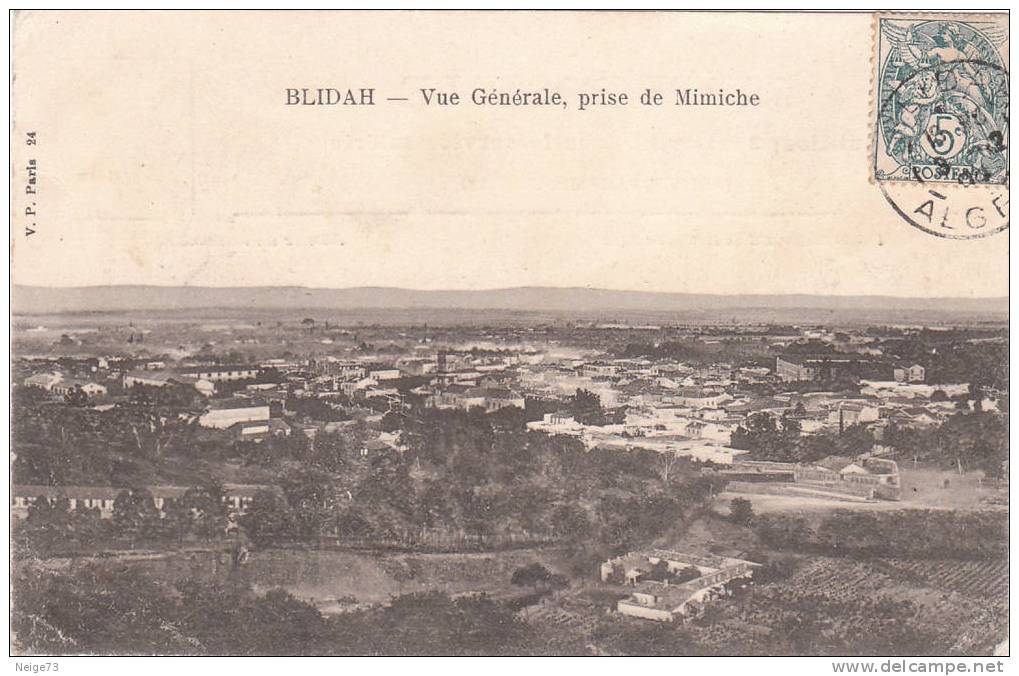 cpa de BLIDAH - vue générale prise de Mimiche