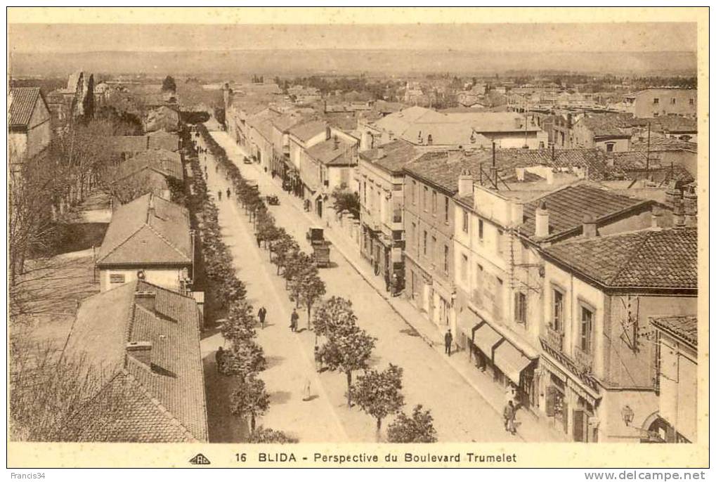 CPA - Blida - Perspective du Boulevard Trumelet