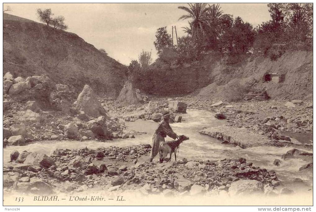 CPA - Blida - L'oued Kébir
