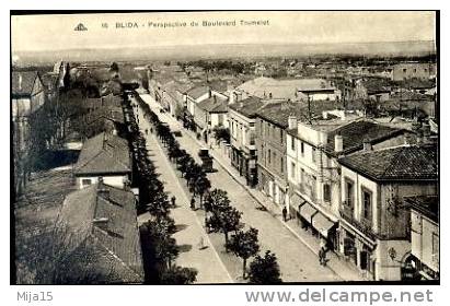 AFRIQUE .ALGERIE. BLIDA. PERSPECTIVE DU BOULEVARD TRUMELET.