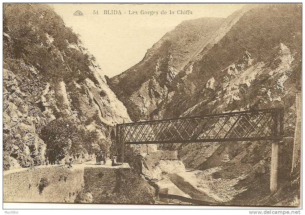 Algerie - BLIDA les gorges de la chiffa N° 54