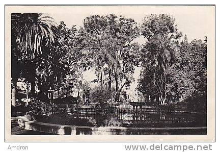Blida - Jardin Bizot