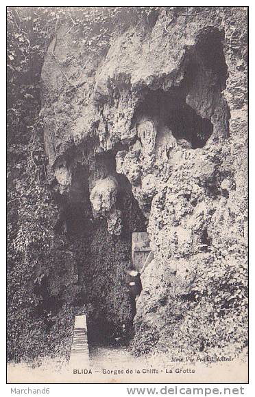 ALGERIE.BLIDA.GORGES DE LA CHIFFA LA CASCADE