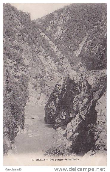ALGERIE.BLIDA.GORGES DE LA CHIFFA