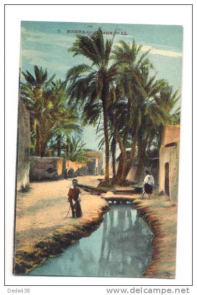 biskra  l 'oasis voyagée