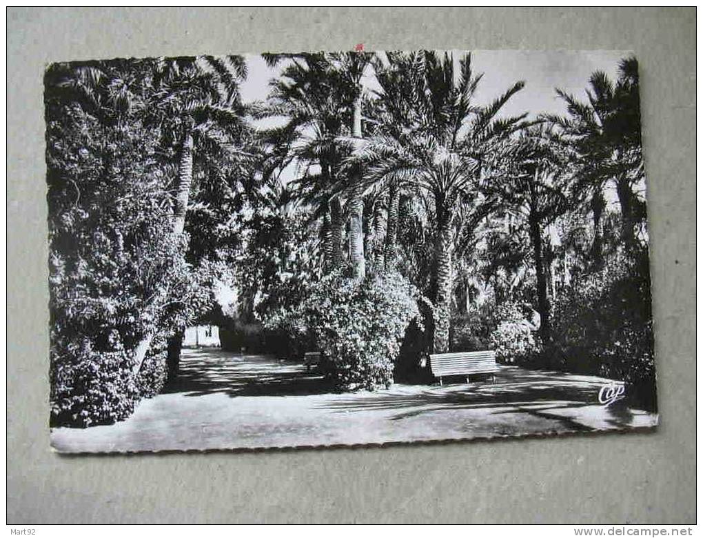 BISKRA JARDIN LANDON