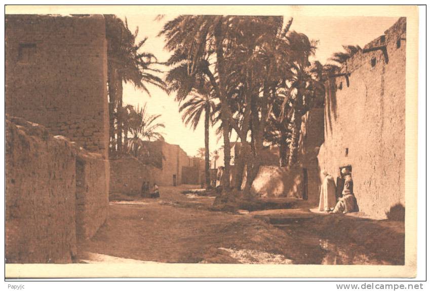 BISKRA - Une rue dans l´Oasis de Gaddacha