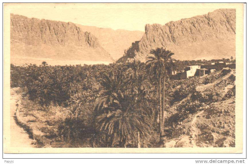 BISKRA - Vue générale de l´Oasis