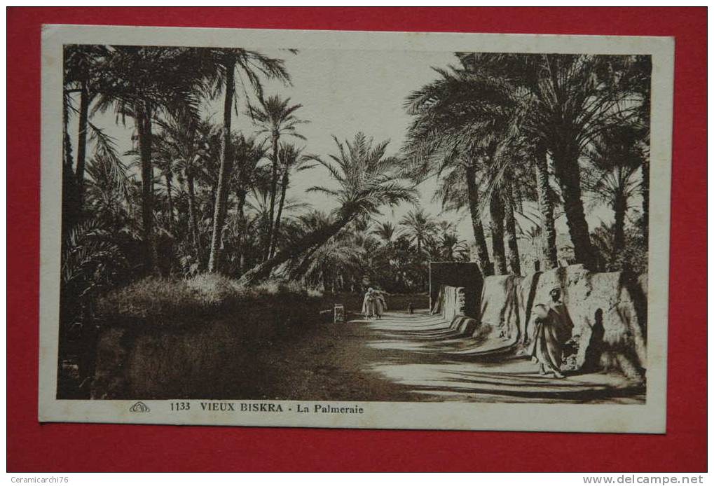 cpa Vieux Biskra La Palmeraie
