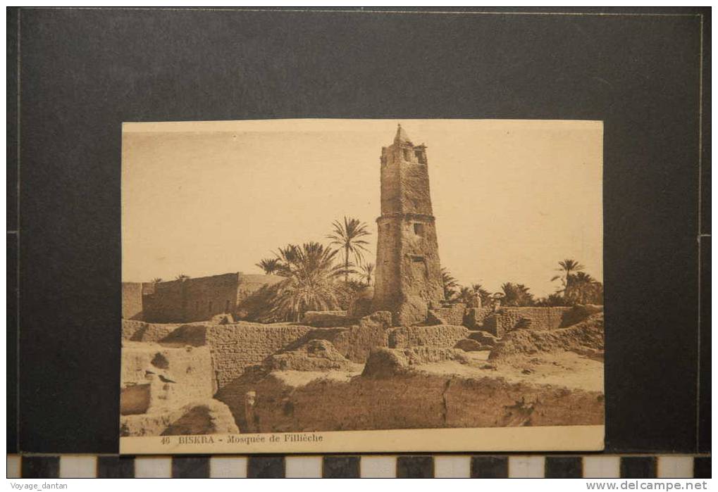 BISKRA MOSQUEE DE FILLIECHE