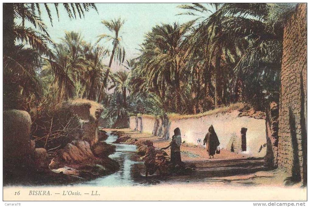 ALGERIE BISKRA L´OASIS