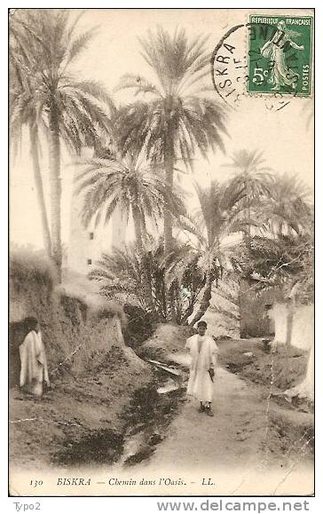 BISKRA - Chemin dans l'Oasis animation CPA LL