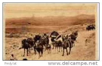 BISKRA  LA CARAVANE AU COL DE SFA CARTE AYANT CIRCULEE