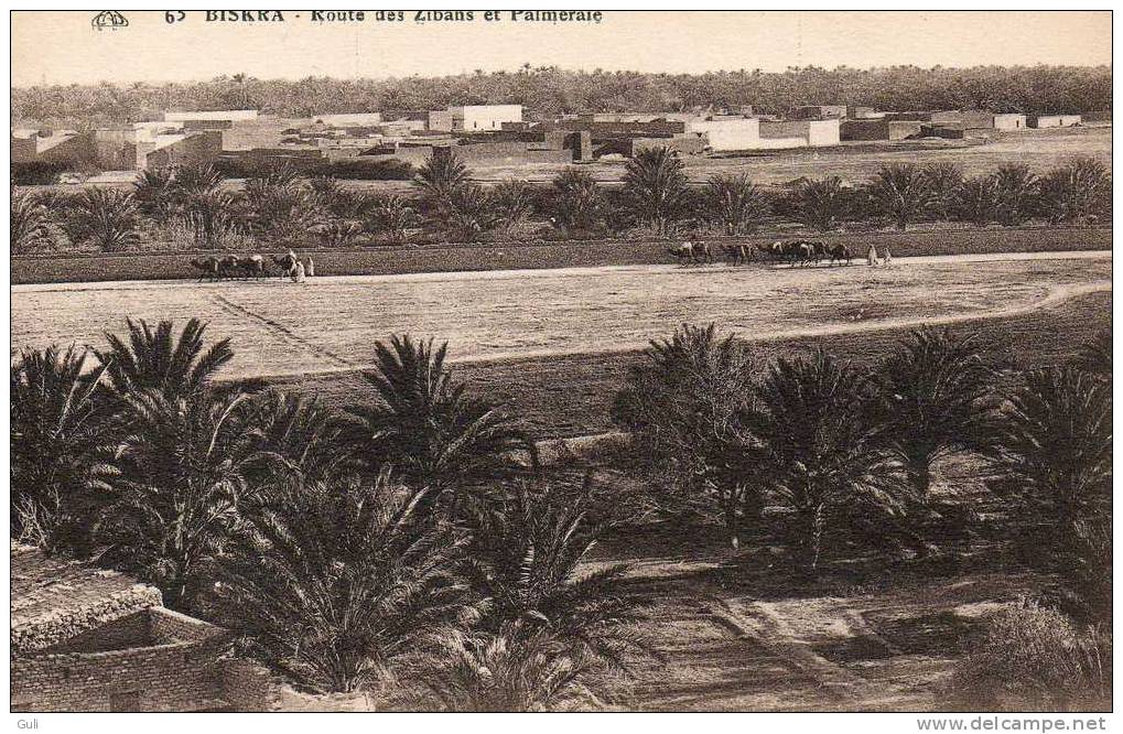 Algérie - BISKRA - route des Zibans et Palmeraie  PRIX FIXE  - Editions C-A-P n° 63 - voir description -