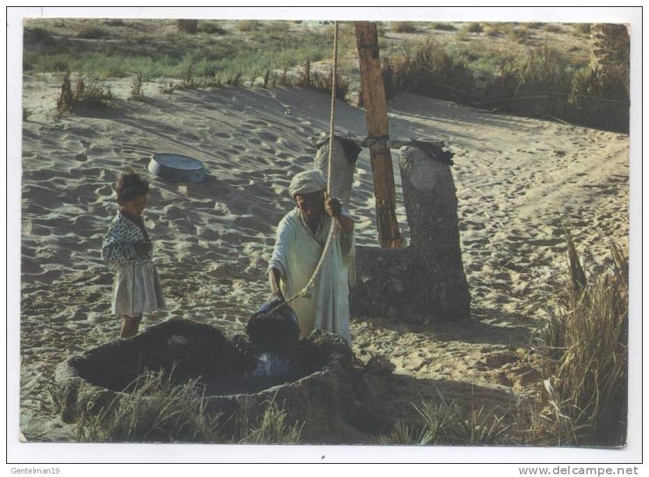 Cartes Postales Scénes of Biskra