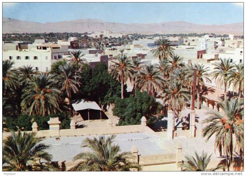 ALGERIE    BISKRA  Vue generale