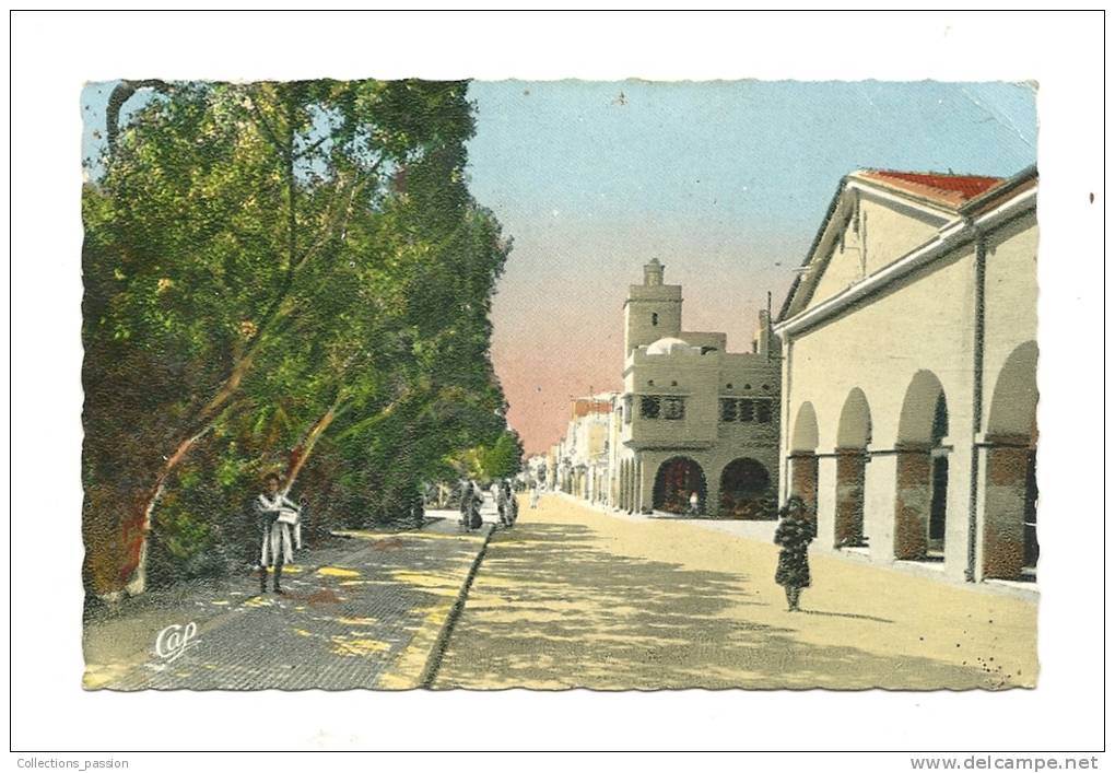 cp, Algérie, Biskra, Rue Berthe