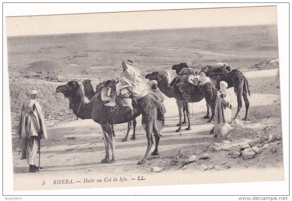 Prix fixe - Biskra - Halte au Col de Sfa - animée - Chameaux # 10-10/22