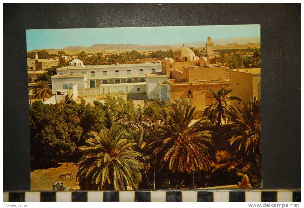 CP, Algérie, Biskra, vue générale, écrite